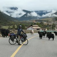 Italo Arias Berrios's Photo