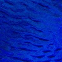 Joanic Alfons's Photo