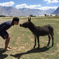 Hongsung Choi's Photo