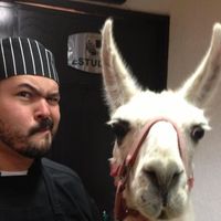 Chino Fernandez的照片