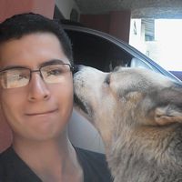 Alejandro Enríquez的照片