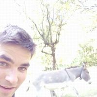 Фотографии пользователя Pierre Gaillard