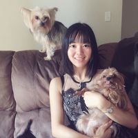 Zdjęcia użytkownika Zhang Lilliane