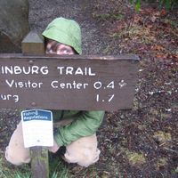 Chris Brown的照片