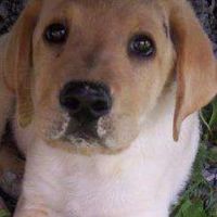 Michelle Teter's Photo