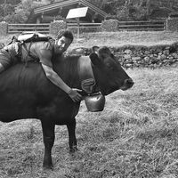 Simon Gabioud的照片