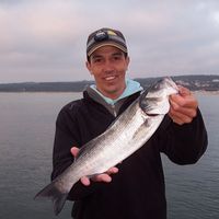 Ricardo Couceiro da Costa's Photo