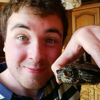 Nicolas Zumpicchiat's Photo