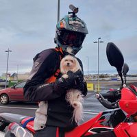 Ihtisham Ul Haq's Photo