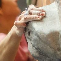 Fotos de Natalia Ryshliakova