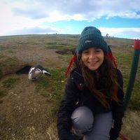 daphne lumbroso's Photo