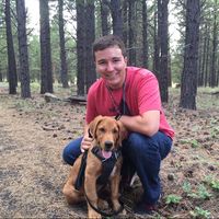 Addison Dent's Photo