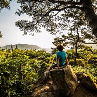 Felix Hui Joo Lee的照片