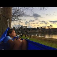 Emma Clements的照片