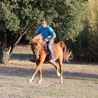 Michel Boissier的照片