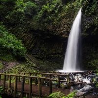 Shanna McWilliams's Photo