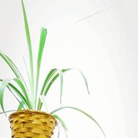 Benjamin Prosenc's Photo