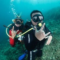 Daus William的照片