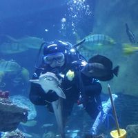 Jule von Berg的照片