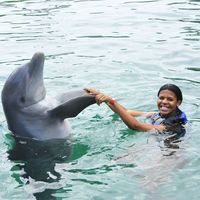 Tata Machado的照片