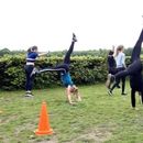 Gymnastics And Other Activities In The Park's picture