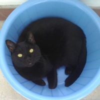 Lynn Welburn的照片