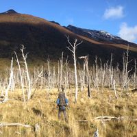 Elías Jatip's Photo