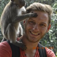 David Lisken's Photo