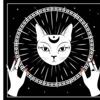 Anastasiya Koval's Photo