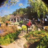 Andrea Lomelin Castellanos's Photo