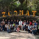 WALK IN THE ZOOMAT's picture