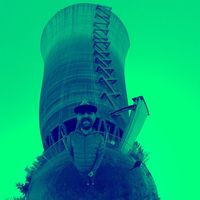 Tukayote Helianthus's Photo