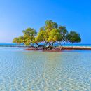 Camping @ marsa alaam's picture