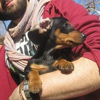 Fotos von Dario Marini Ricci