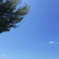 Barbara Kokol的照片