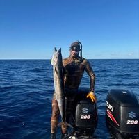 Terrie Collins's Photo