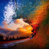 Peer de Beer's Photo