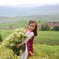 Diman Alipour's Photo