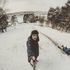 Alexander Dmitriiev's Photo