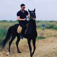 Barış Duruş的照片