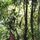 Jerson Zambrano's Photo