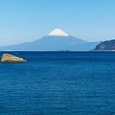 New Years Eve 2026's picture