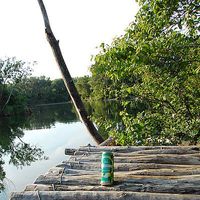 Stefanie Reiner's Photo