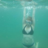 Jean Van Bourgondien's Photo