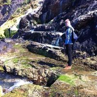 Sebastian Larsson's Photo