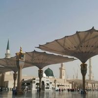 Ayesha Tariq's Photo