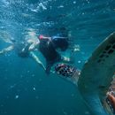 ELNIDO ISLAND HOPING's picture