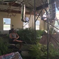 Andrew Stanton的照片