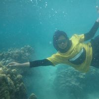 Le foto di chocho chocho