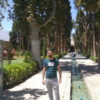 Sajjad Gharahjelou的照片